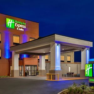 Holiday Inn Express & Suites Opelousas, An Ihg Hotel